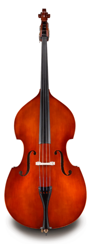 Eastman VB80 Bass - Image 3