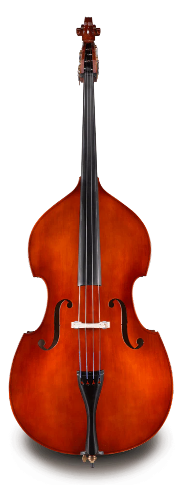 Eastman VB80 Bass - Image 5