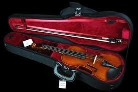 Samuel Eastman VL80 Violin - Image 3