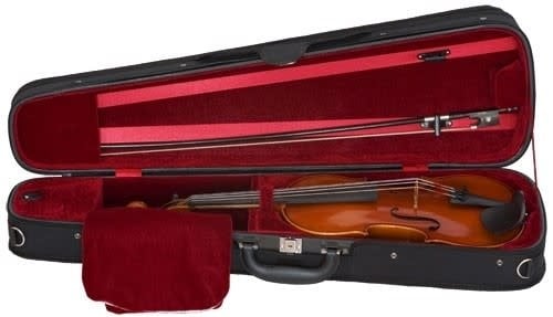 Samuel Eastman VL80 Violin - Image 5